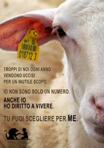 anche-io-ho-diritto-a-vivere1